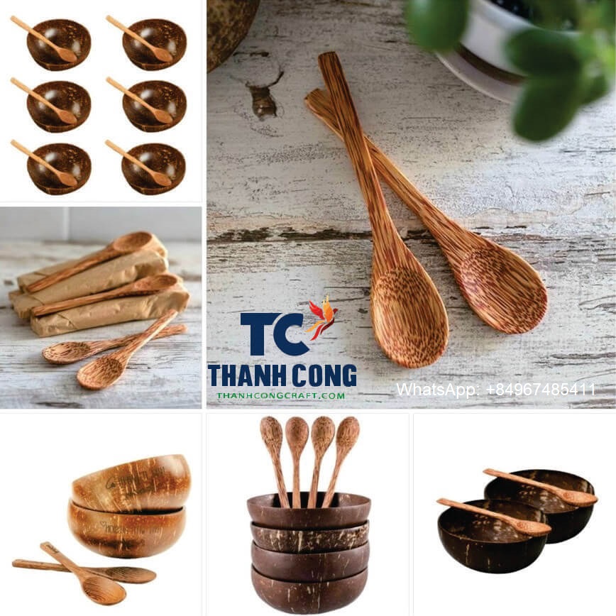 TC2018 Coconut bowl manufacturer factory vietnam